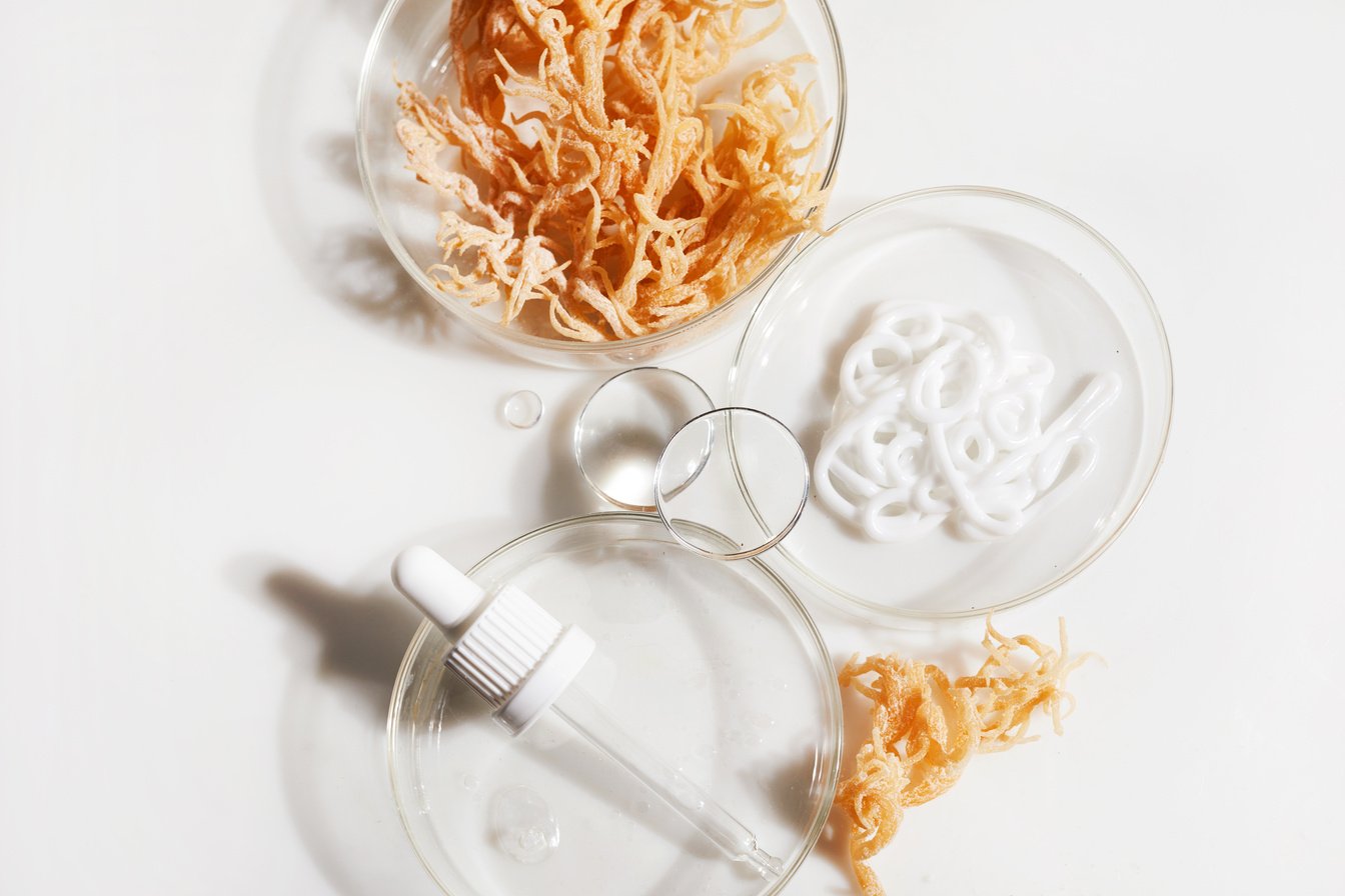 Abstract Cosmetic Laboratory. Nature Cosmetics with Sea Moss. Chemical Laboratory Research.